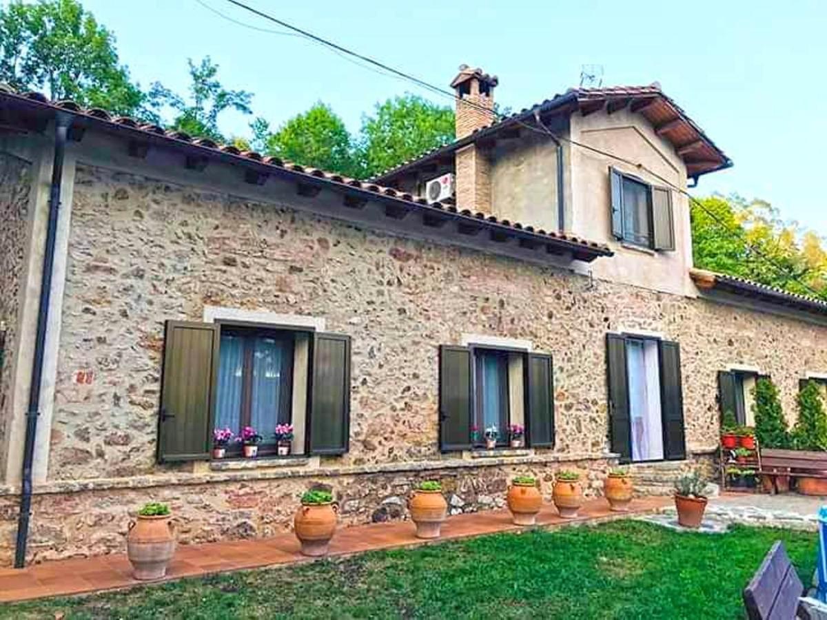 Spacious House In Ogassa With Terrace And Bbq מראה חיצוני תמונה